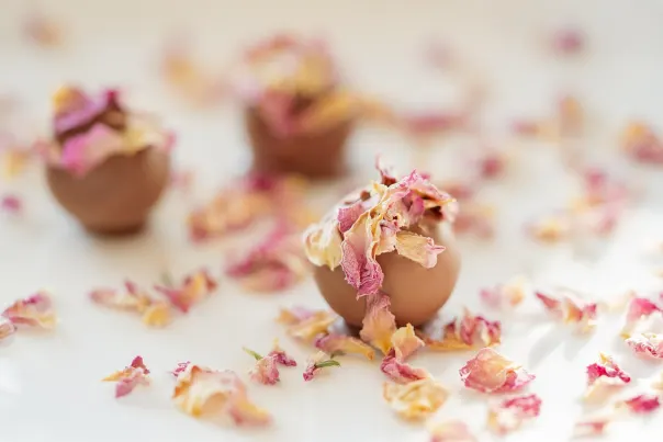 JokerBet Casino Android/iOS Alkalmazás